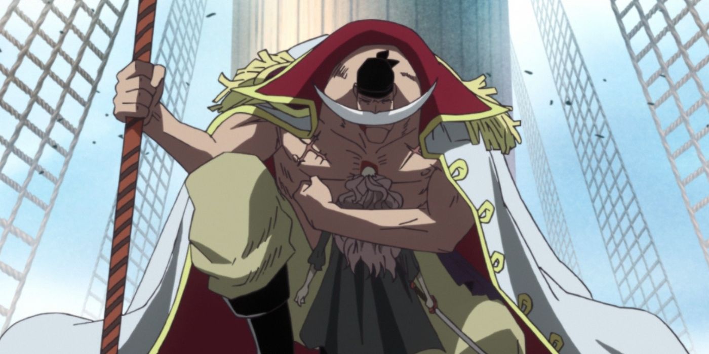 Whitebeard kindest one piece characters