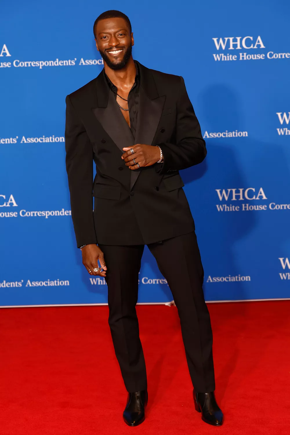 Aldis Hodge attends the 2024 White House Correspondents' Dinner at The Washington Hilton on April 27, 2024 in 