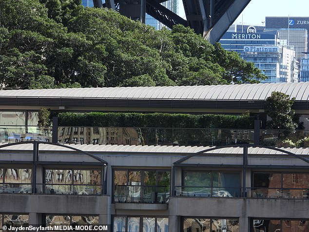 Onlookers have noticed a long row of hedges and bushes has been placed along the balcony of the penthouse suite at Sydney's Park Hyatt Hotel