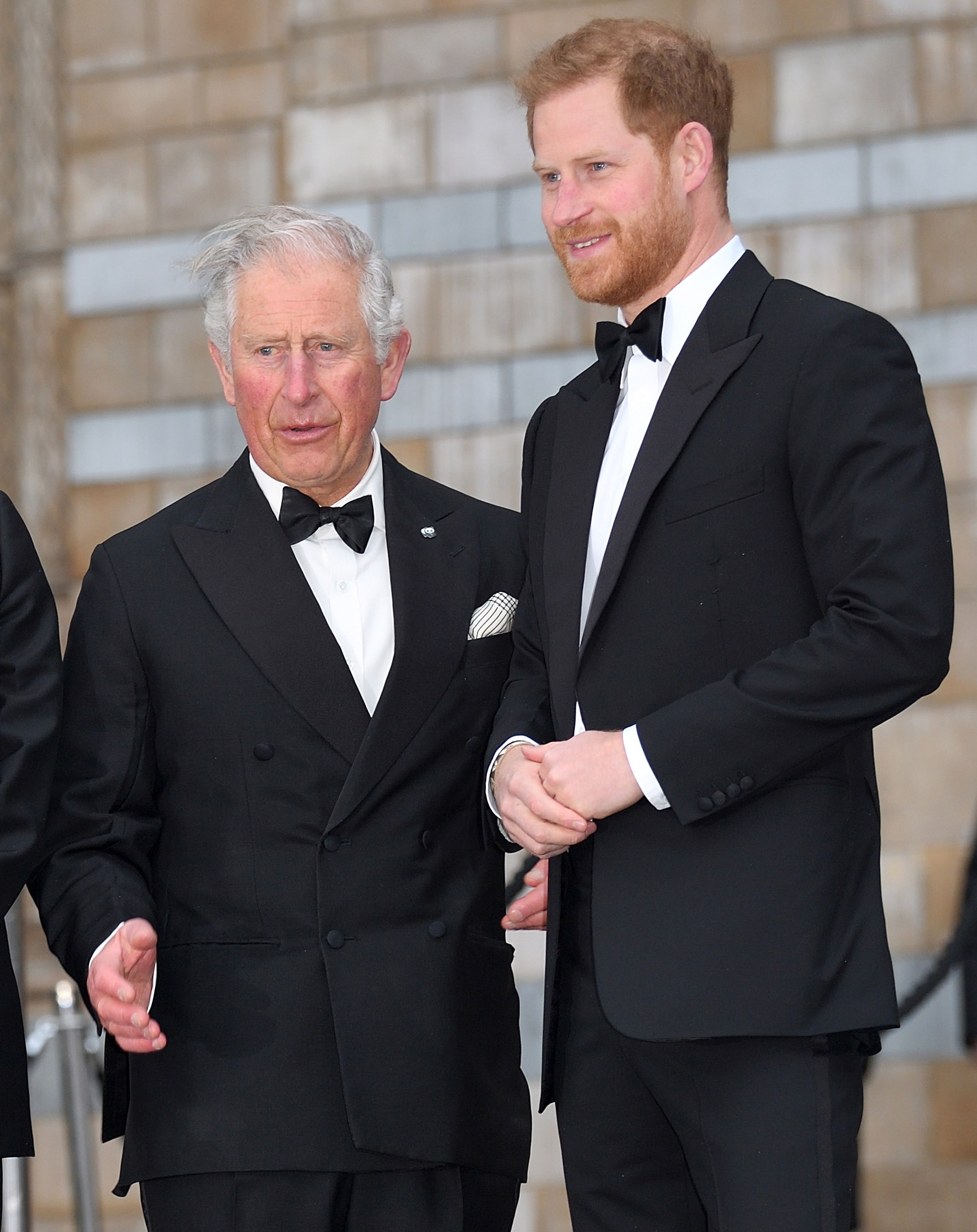 Charles and Harry must make the effort to see each other, an expert said