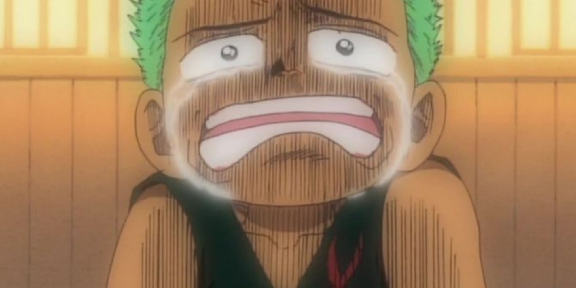 Zoro crying