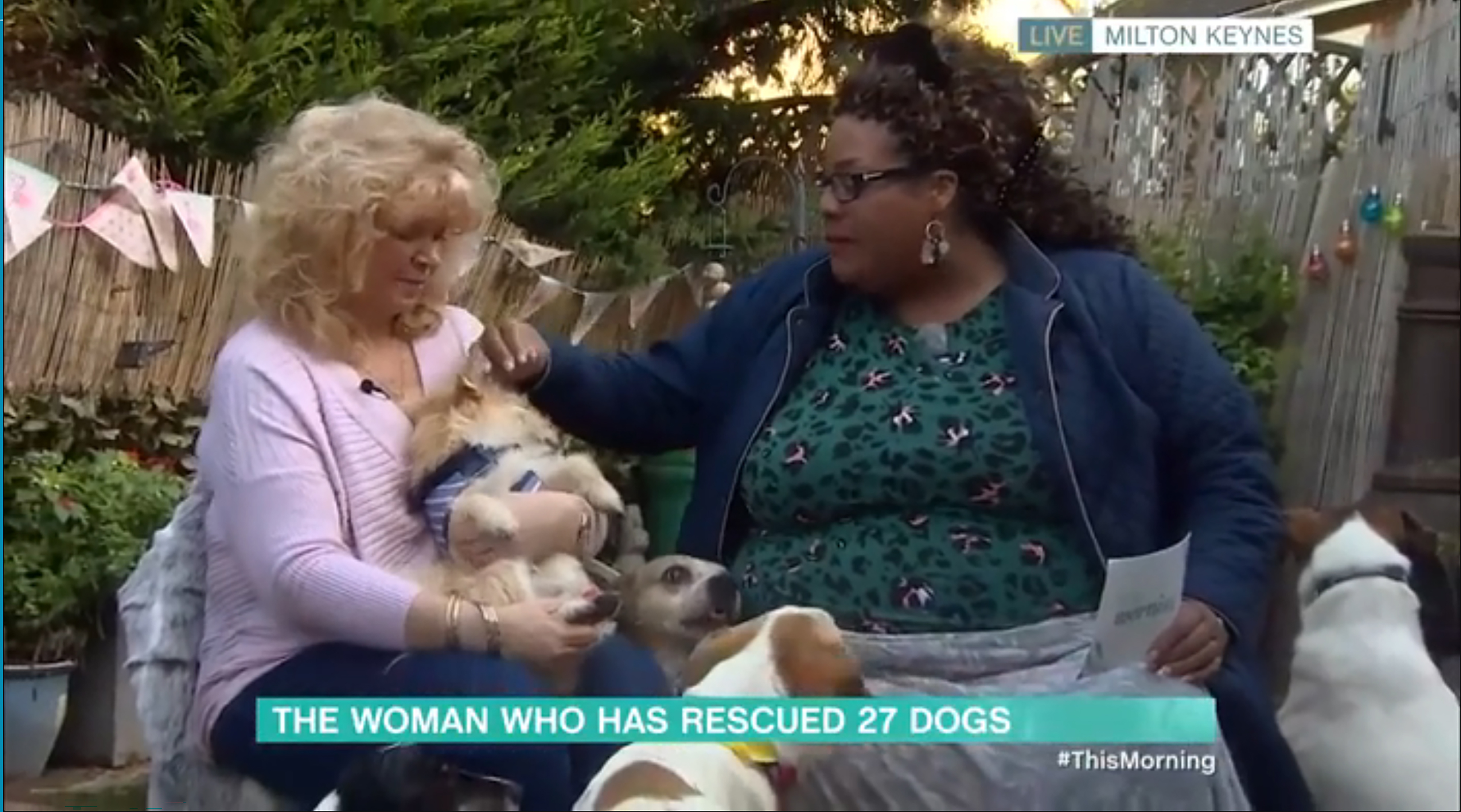 For The Love Of Dogs host Alison Hammond insisted on an outdoor chat with a rescuer about her 27 disabled hounds — because she was 'scared' of them