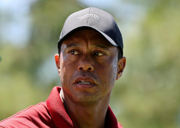 Tiger Woods 