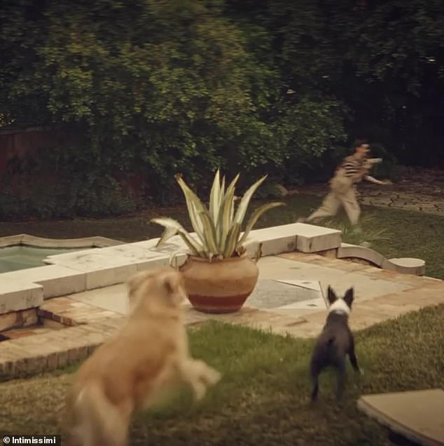 Release the hounds! The Shotgun Wedding producer-star lets out a hearty laugh as the man runs away from what appeared to be a Golden Retriever and a Miniature Boxer