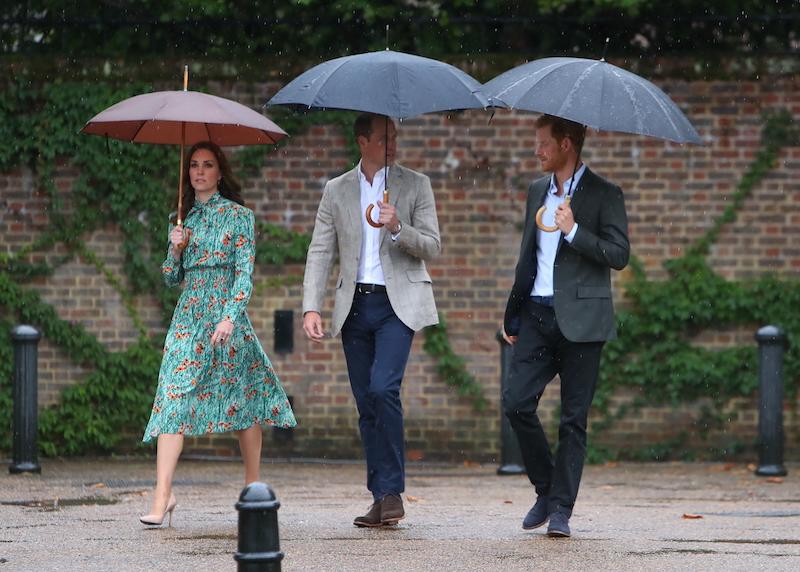 princess diana prince harry leaving royal family