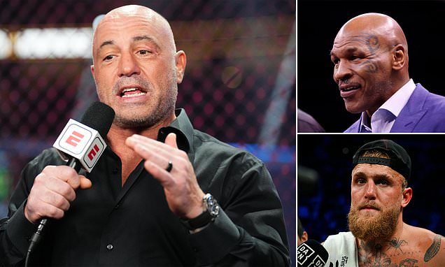 Joe Rogan predicts Mike Tyson will HURT Jake Paul in the ring in resurfaced  clip as pair gear up for blockbuster fight in July... and says age doesn't  matter: 'I don't give