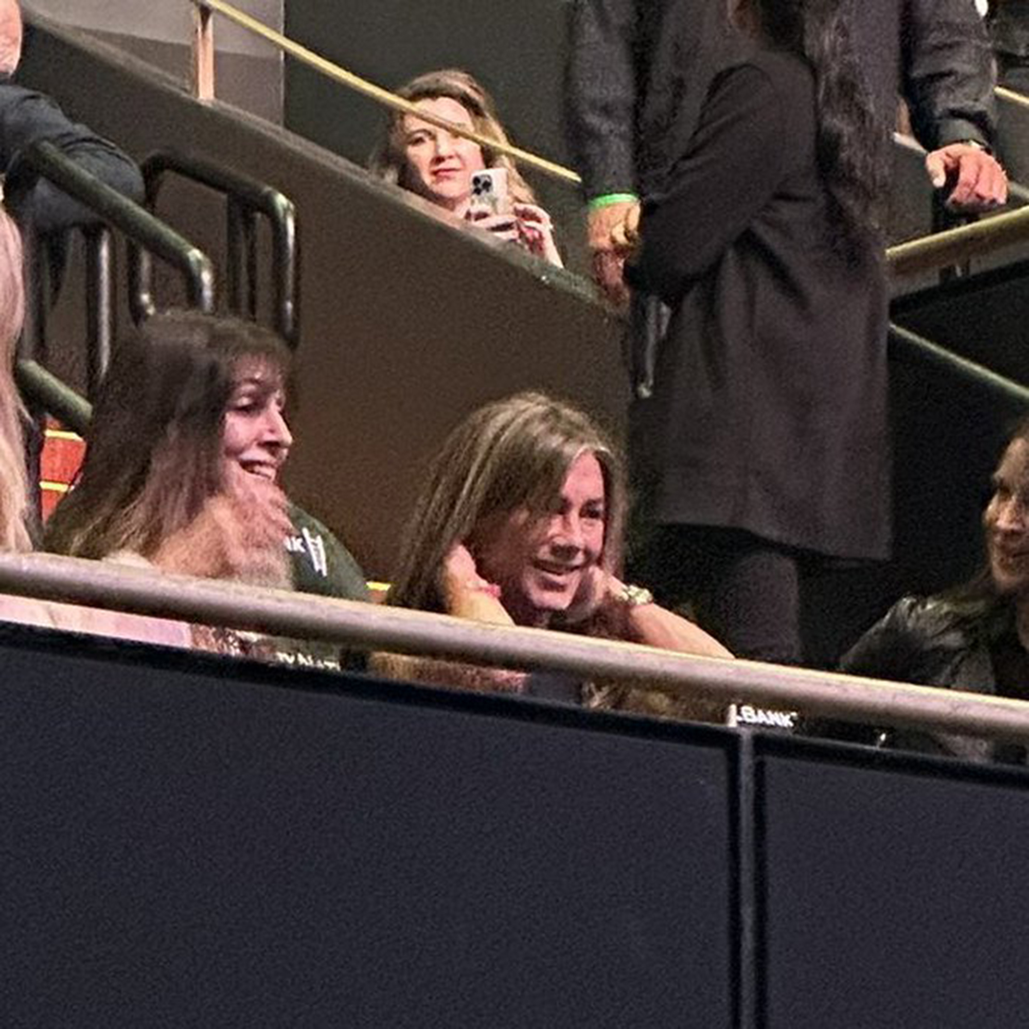 Jennifer Aniston attends a Harry Styles concert