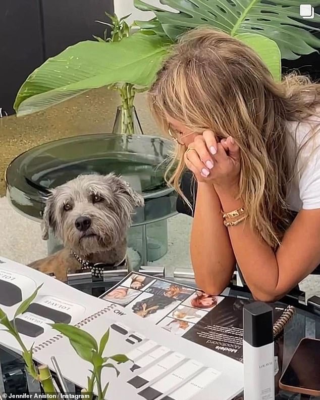 Keeping her company: She shared additional behind-the-scenes snaps including a photo of her sat down to mull over new LolaVie material with her four-legged friend Clyde