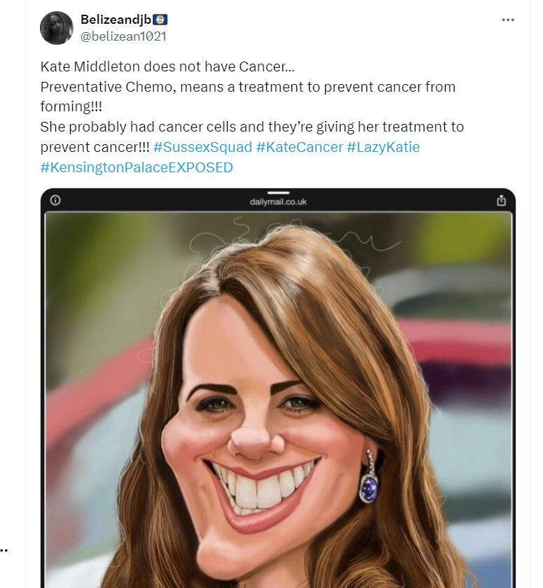 On social media, Sussex Squad members peddle dangerous conspiracy theories about Kate’s cancer operation