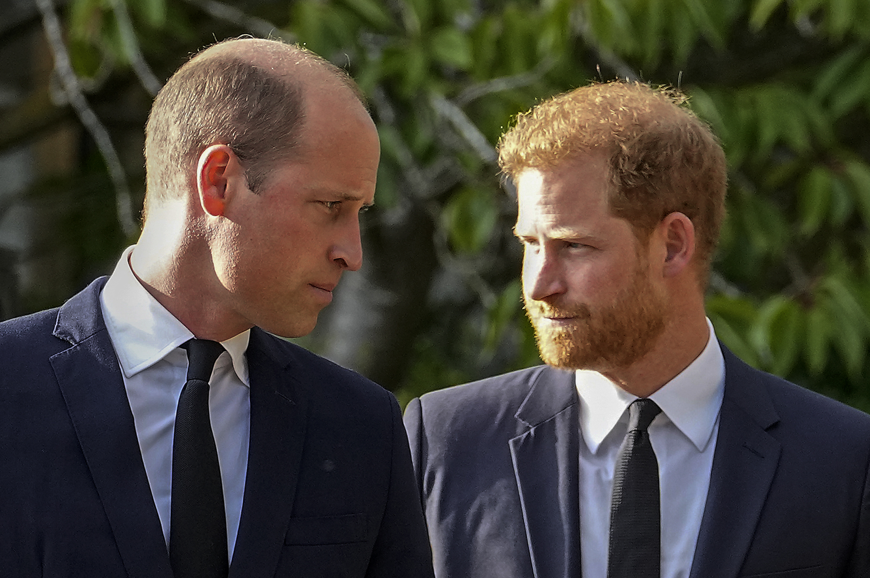 It will be a 'big job' for the duke to repair his relationship with estranged brother William