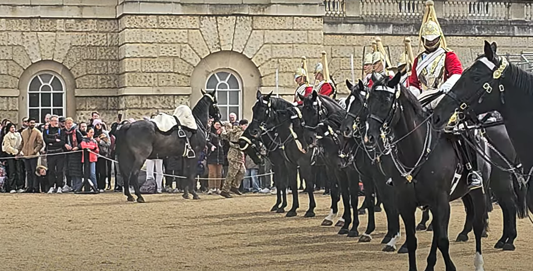 A soldier led the horse away once he'd calmed it down