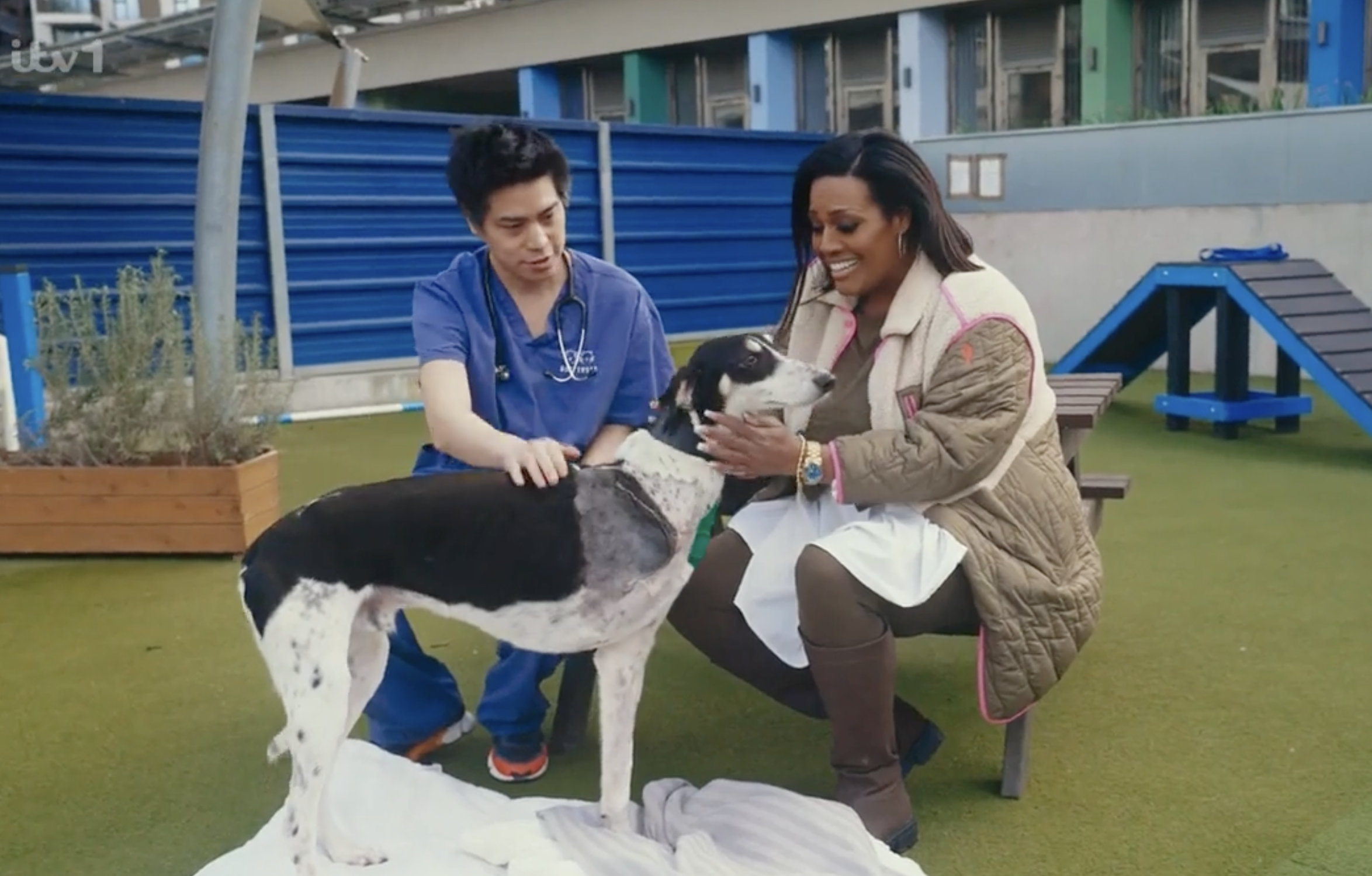 The For the Love of Dogs presenter cuddled the three-legged pooch