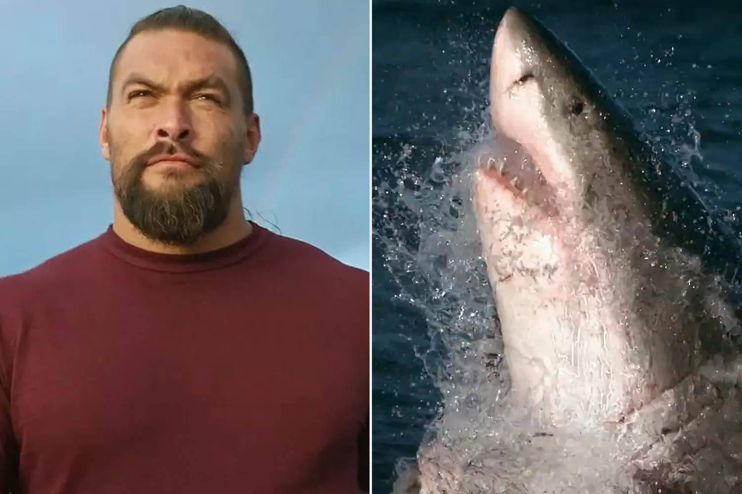 Jason Momoa Shark Week Announcement