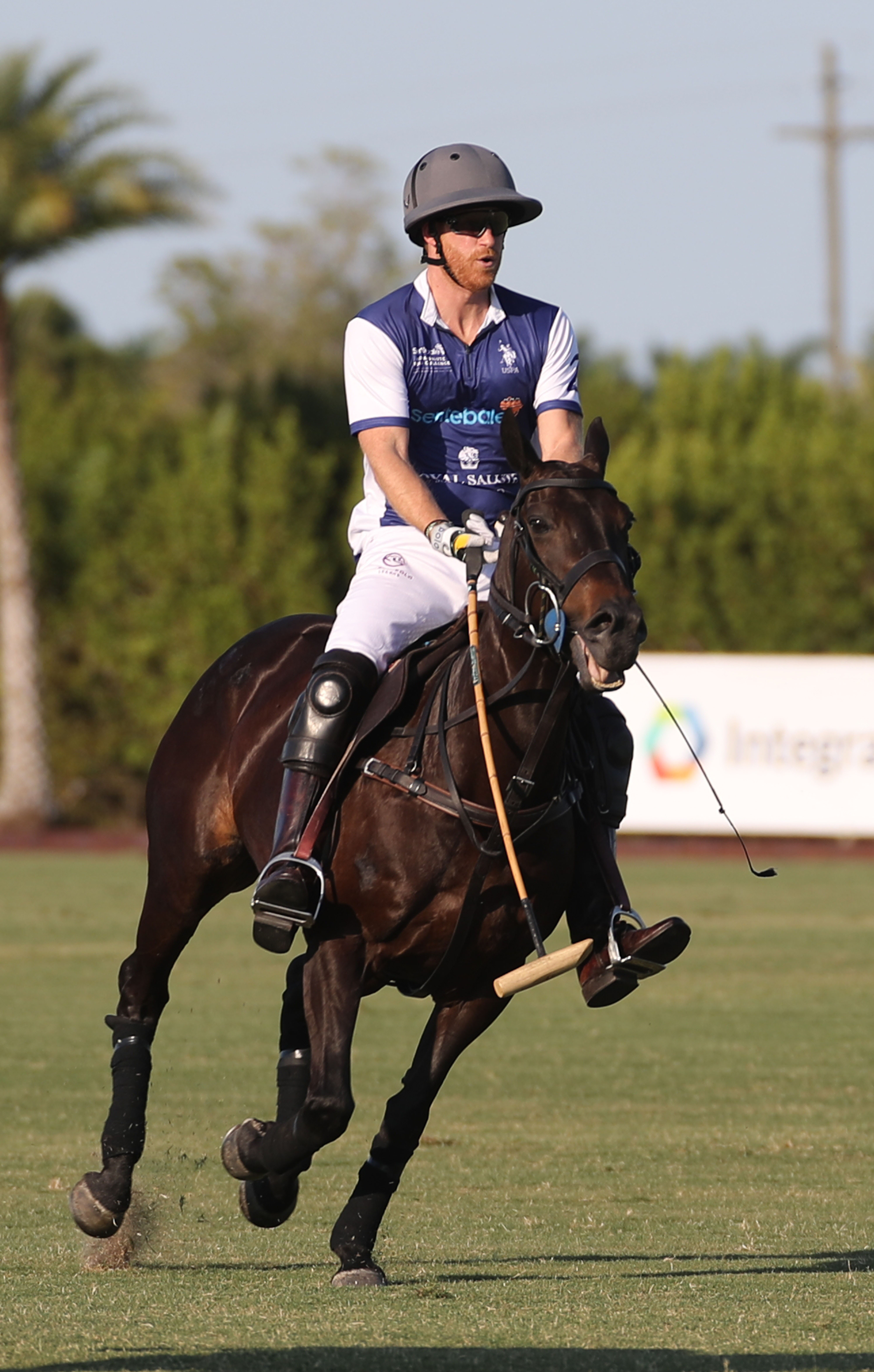 Harry's show will focus on his love of polo