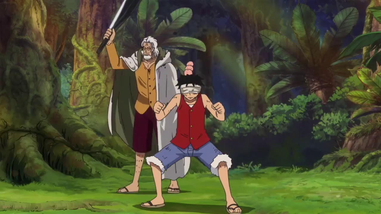 rayleigh training monkey d. luffy