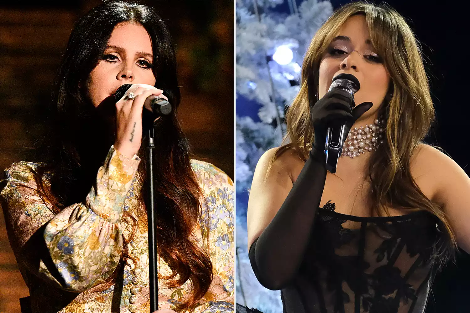 Every Surprise Music Guest Coachllea Weekend 2: Lana Del Rey and Camilla Cabello