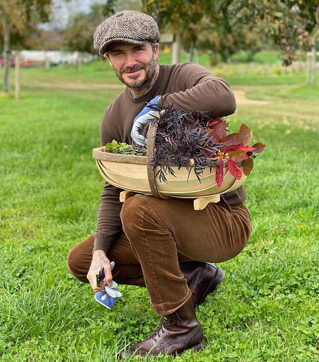 The couple have a £6million Cotswolds farmhouse, where they grow their own vegetables, practice beekeeping, and even take care of chickens