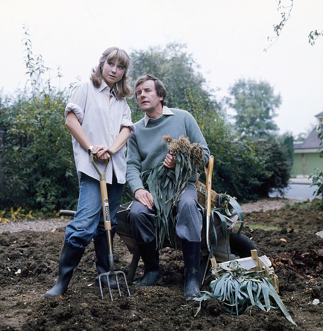 Green-fingered: David's relaxing new way of life, which includes getting excited at his chickens laying 'lovely' eggs and showing his followers how to plant a rose shrub, bears hilarious similarities to the 70s sitcom The Good Life (Felicity Kendall and Richard Briers pictured above in the show)