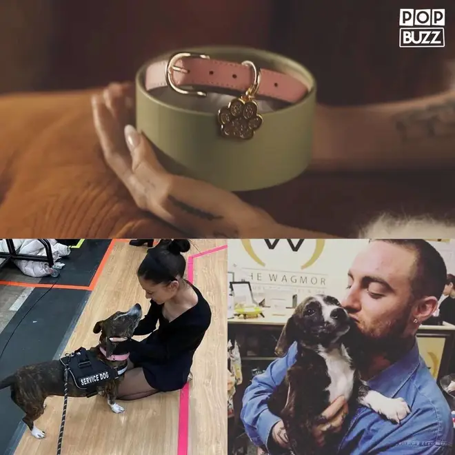 Ariana Grande, Mac Miller and their dog Myron