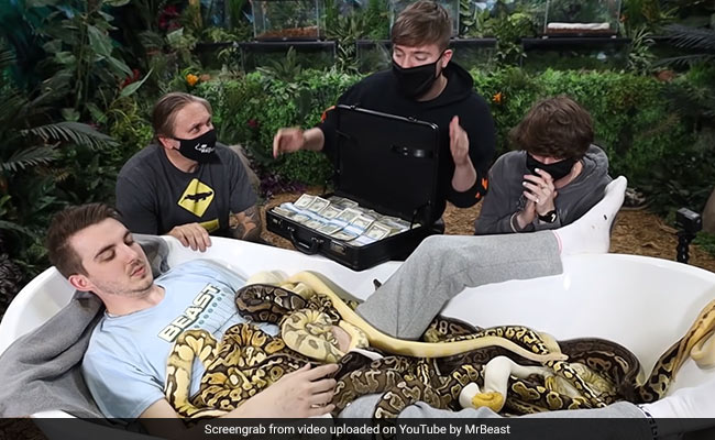 Viral Video: Are You Brave Enough To Sit In A Tub Of Snakes For $10,000?